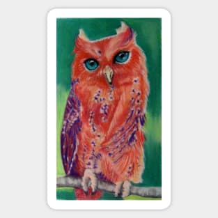 Sapphire eyed Owl in the pink! Sticker